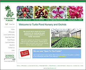 fort myers web design